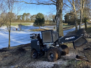 Stump Grinding