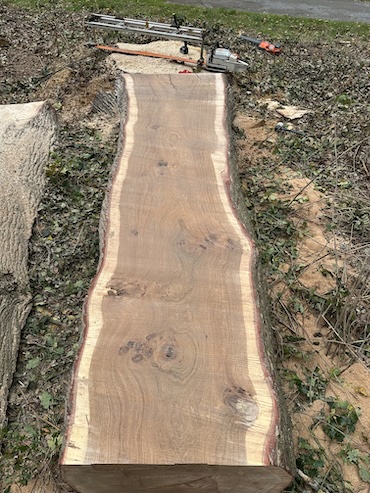 Logs for sale