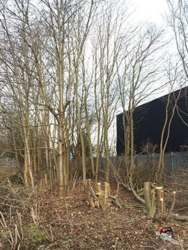Site Clearance & Commercial