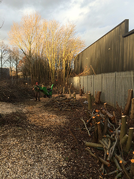 Site Clearance & Commercial