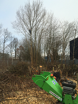 Site Clearance & Commercial