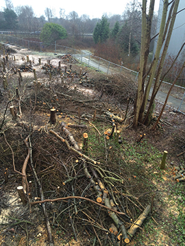 Site Clearance & Commercial