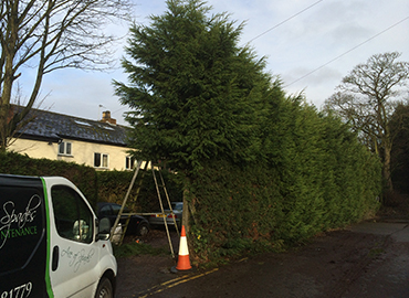 Hedge Cutting