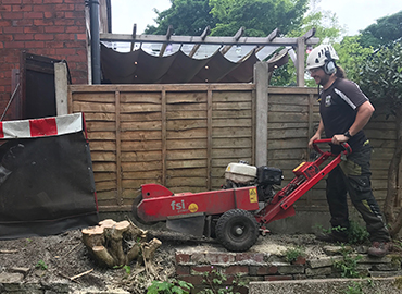 Stump Grinding